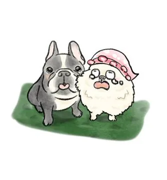やまも🐶🌟さんの作品